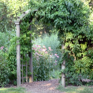 support your garden with arches