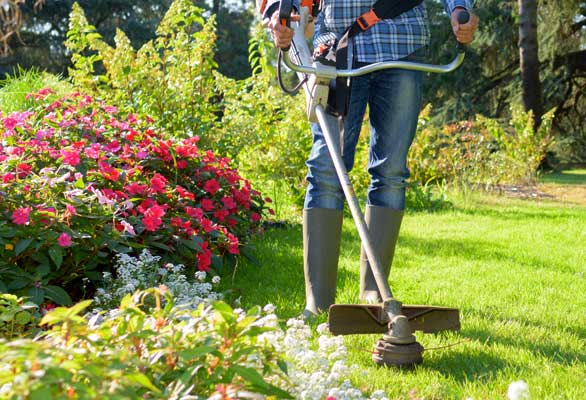 garden maintenance