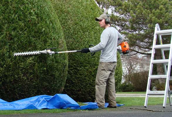 garden maintenance